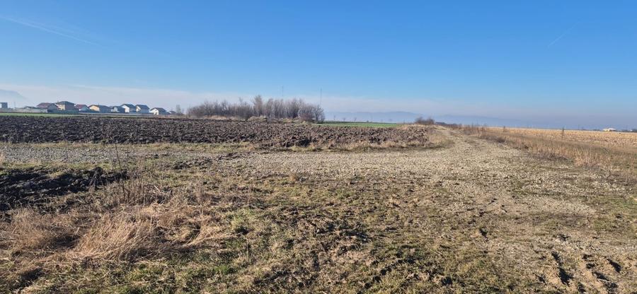 Teren extravilan intrare Bod din Sanpetru pentru investitie sau parcelare - 4