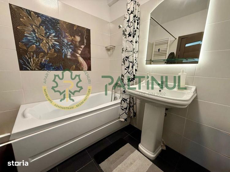 Apartament 1 camera de inchiriat Sibiu - 11