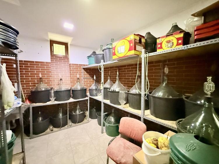 Piata Unirii Fantani Vila  500 mp utili curte 204 mp - 21