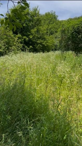 Teren 2.700mp cu PUZ in lucru pentru 3 unitati locative - 1