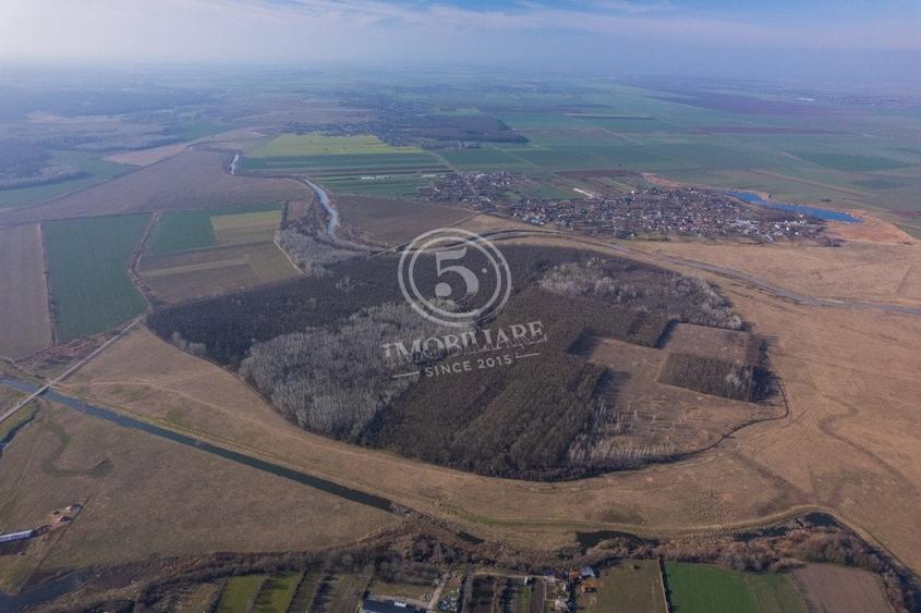 Pădure de vânzare - Pădurea lui Bolete, Fierbinți-Târg - 8