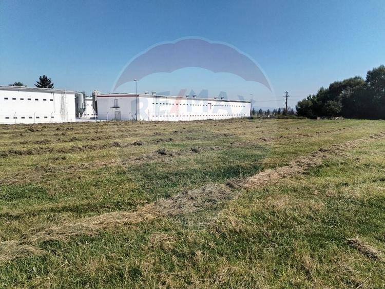 Teren intravilan de vânzare – 3.700 mp –  Brasov / Strada Cucului - 1