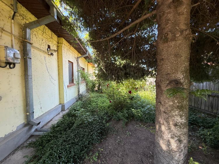 Vanzare Teren 706 mp -  Casa Parter - zona Colentina - 6