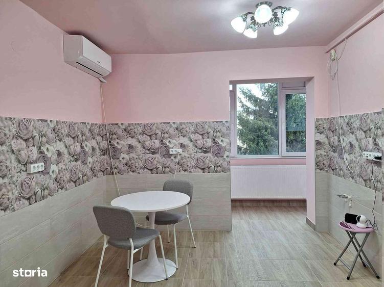 Apartament 2 camere, complet renovat, bld. Nicolae Balcescu, DEVA - 12