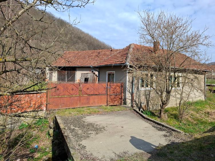Vând casa Stancesti (Dobra) - 5