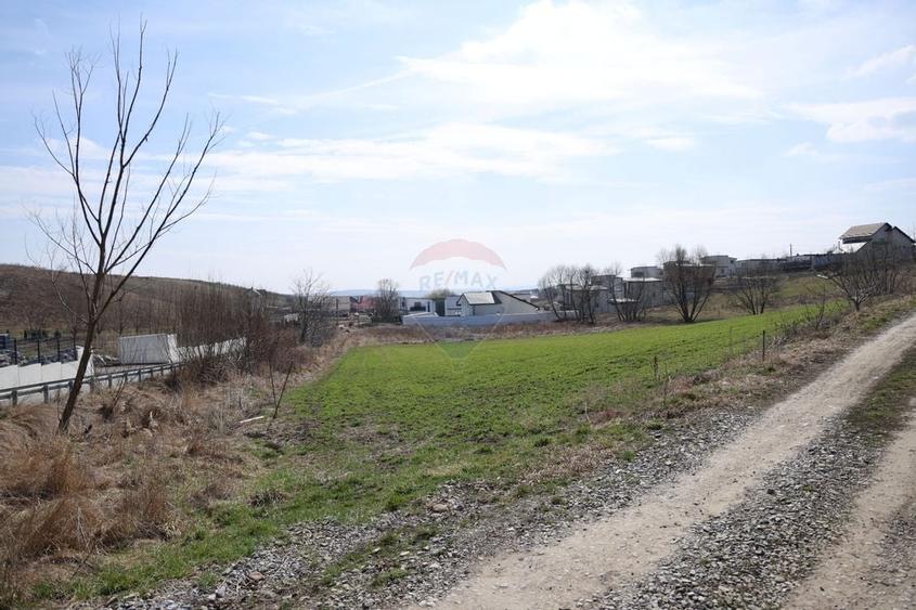 Teren 3,500mp Moara / Strada Pprincipala - 4