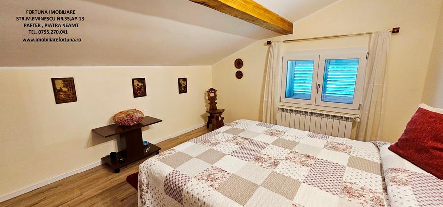 Proprietate deosebita com.D-va Rosie, Casa P+M si 1683 mp teren - 13