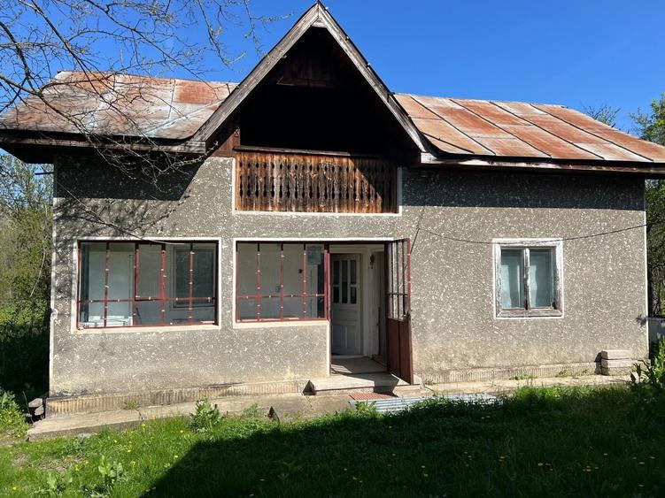 Casa de vanzare in comuna Dobroteasa - 2