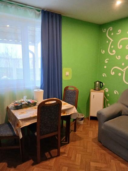 Casa si gradina de vanzare - 4