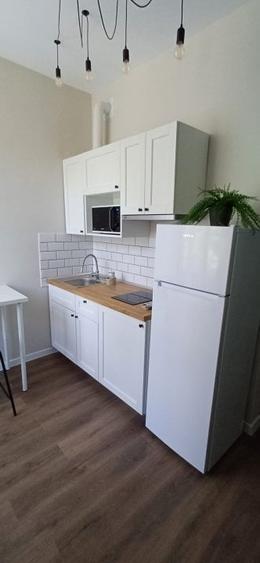 Central Apartament 2 camere aproape de UMF si Cuza - 3