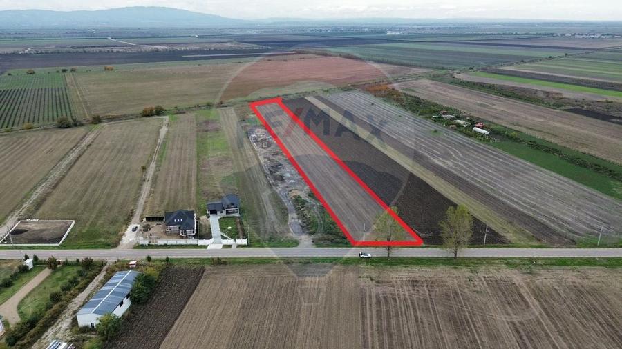 Teren intravilan 10869mp Mircestii Vechi / DJ 204E - 2