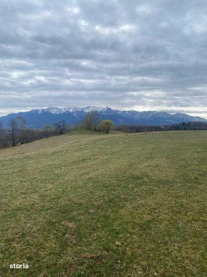Vand 4 terenuri in Pestera, judetul Brasov, zona Moieciu. - 2