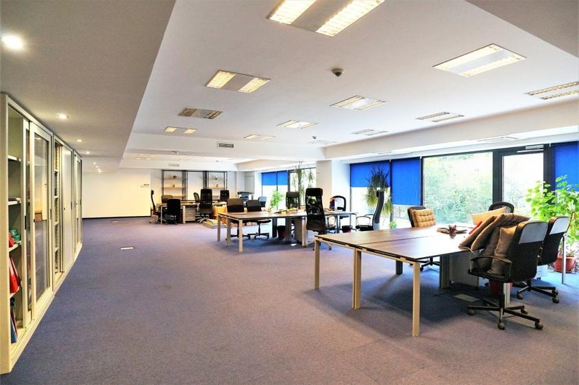 Parter pentru birouri, clinica - Domenii - parcul Copilului - 2