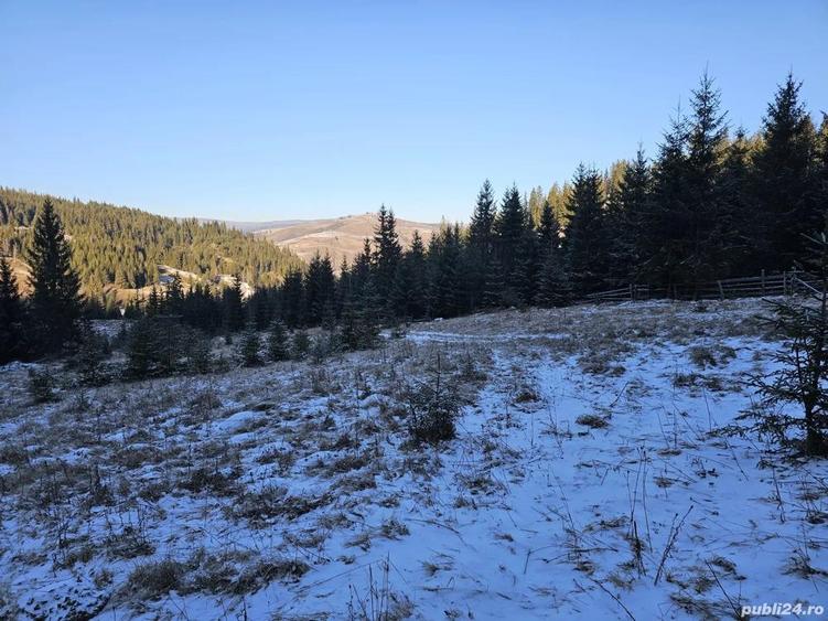 Teren extravilan de vanzare inconjurat de padure in Bucovina zona Breaza - 2