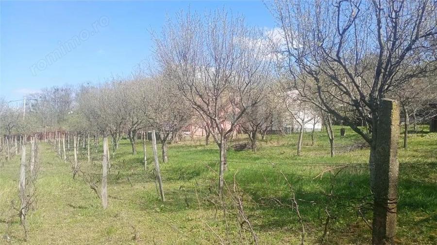 Pietrarie Vila P+1 s=164mp garaj beci teren 2000mp livada vie zona verde - 7