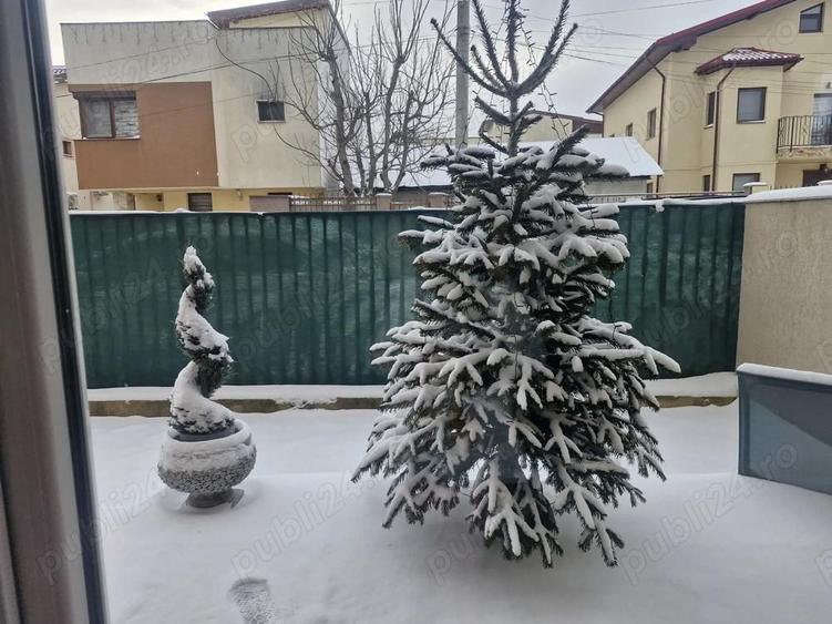 Ap de vanzare - 2