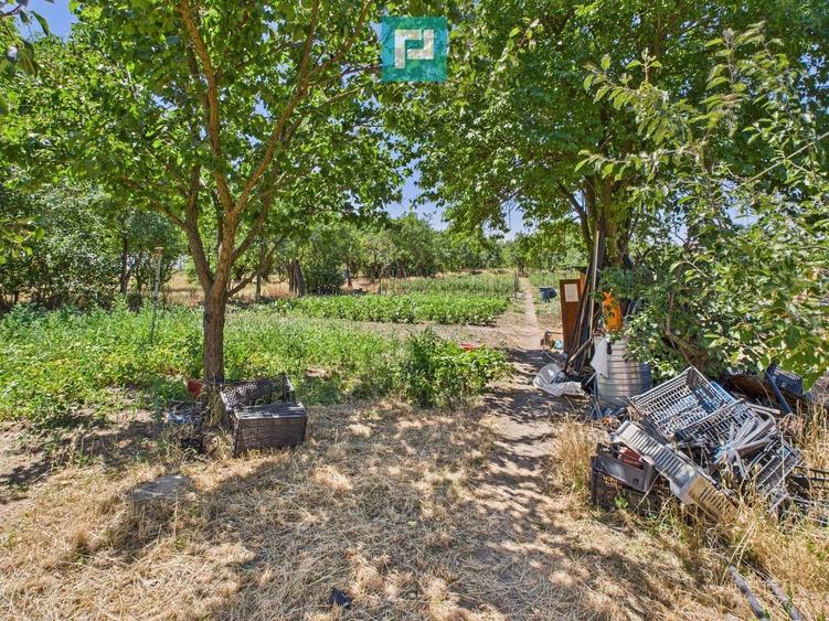 Casă cu 4 camere și teren de 1450 mp în Aradul Nou - 3