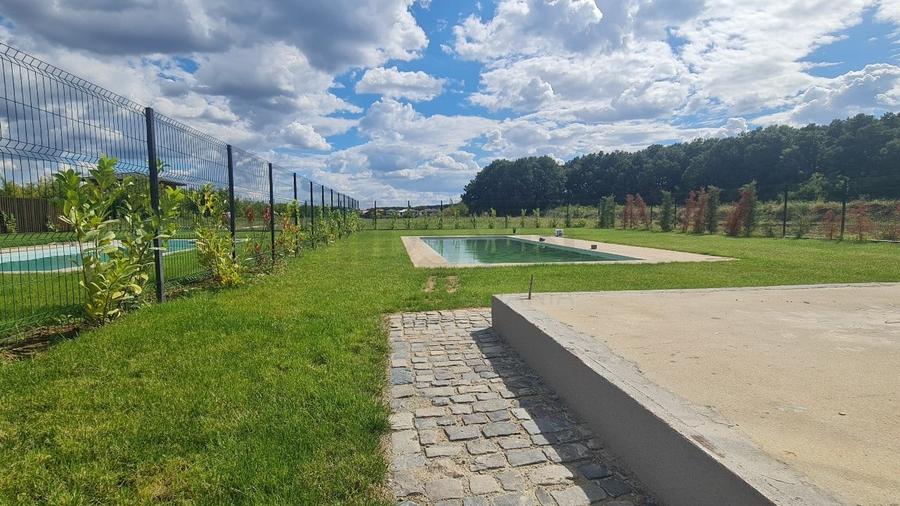 REV2003401 Vila cu piscina 800 mp teren langa padure in Corbeanca - 6