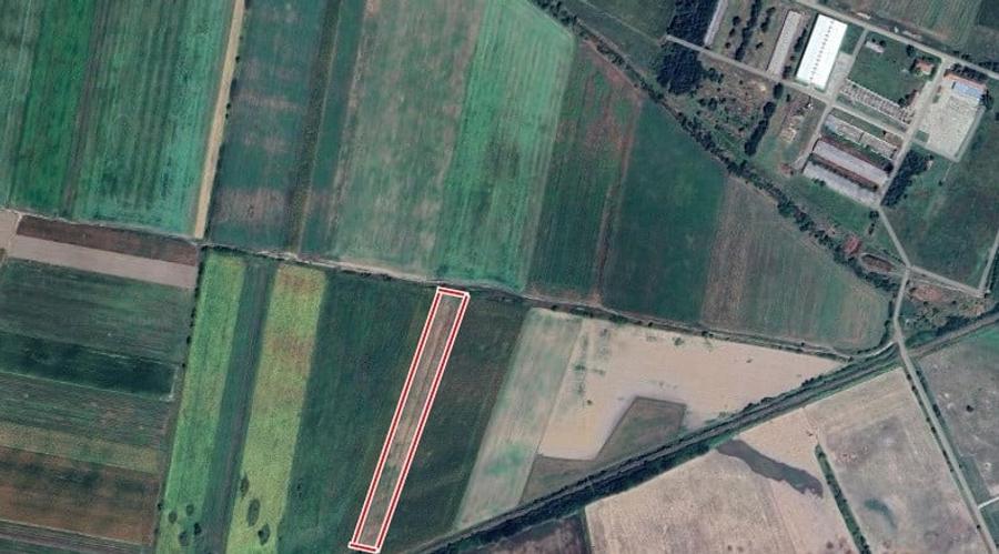 Teren extravilan 15000 mp, Salonta, Bihor - 1