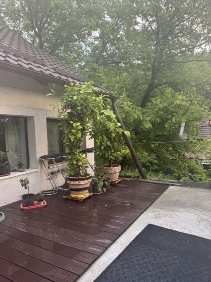 Relaxare in mijlocul padurii in imediata apropiere a municipiului Tg. Mures inchiriez in regim hotelier sau pe termen lung un imobil - 6