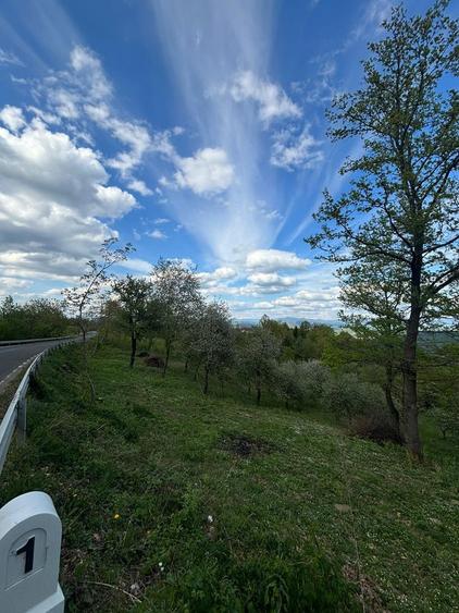 Teren intravilan - 6