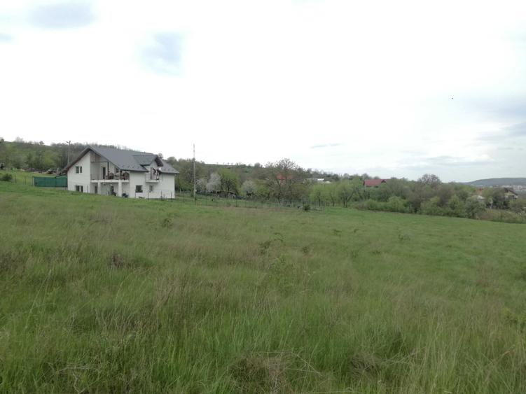 Loturi de casa in Uricani langa padure (Miroslava) - 7