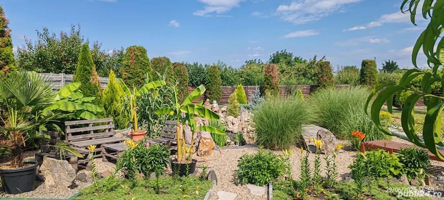 2 Case cu CF separat independente - 1