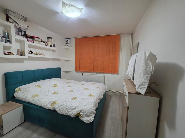 Titan, 10 minute metrou Costin Georgian, Barajul Bistritei, parter,centrala - 7