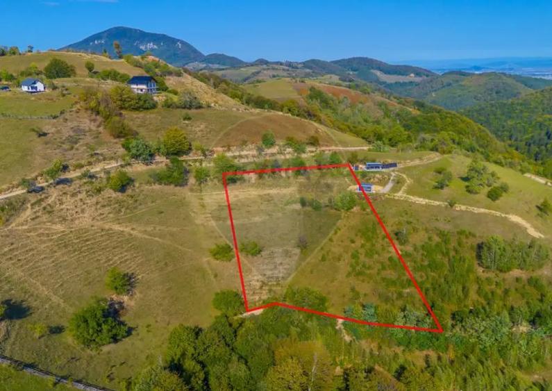 Teren extravilan 6,014mp | Holbav | BRASOV | COMISION 0| - 1