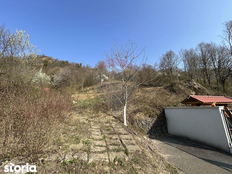 Teren de 756 mp, în Săsar