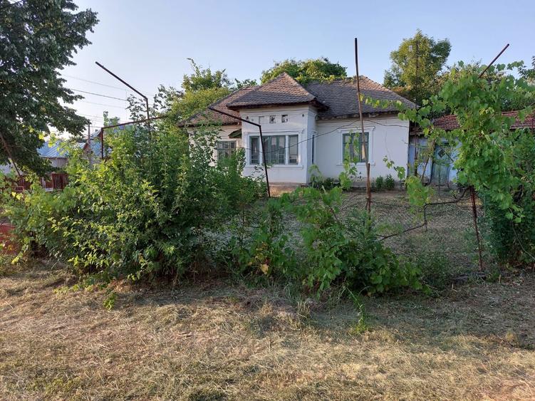 Teren intravilan DN72 /deschidere 29ml ideal business/ investitie - 1