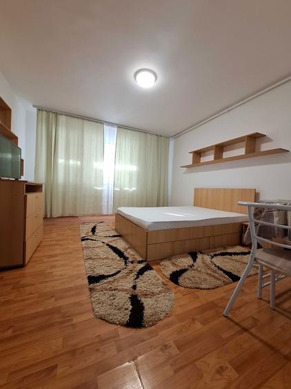 Garsoniera Titan - Constantin Brancusi - 3