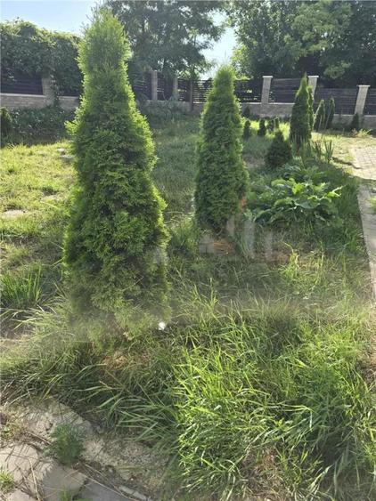 Apartament 1 camere Cug, Soseaua Nicolina - 13