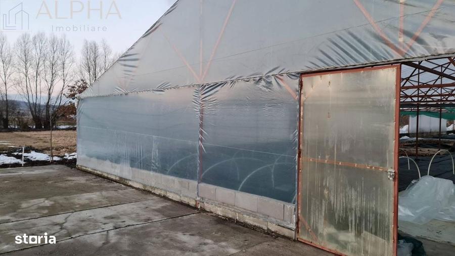 Afacere La Cheie Hala Productie + Sera Profesionala - 6