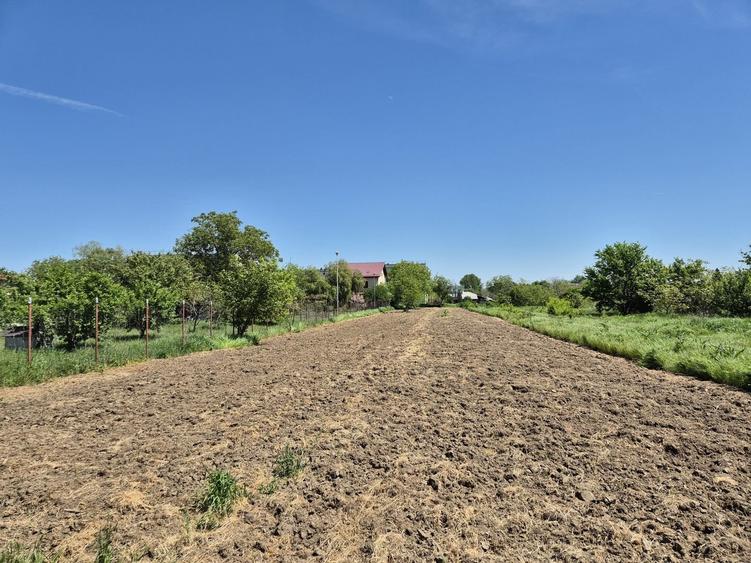 Teren intravilan 2658 mp cu bransament electric trifazic  - 1 Decembrie, Ilfov - 1