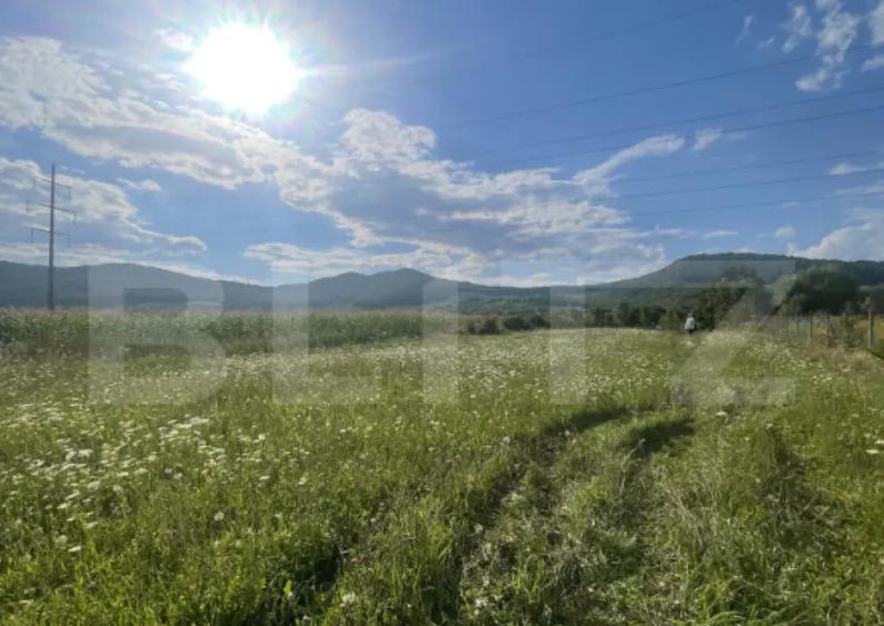 Teren intravilan Vii?oara ideal pentru casa sau invest - 2