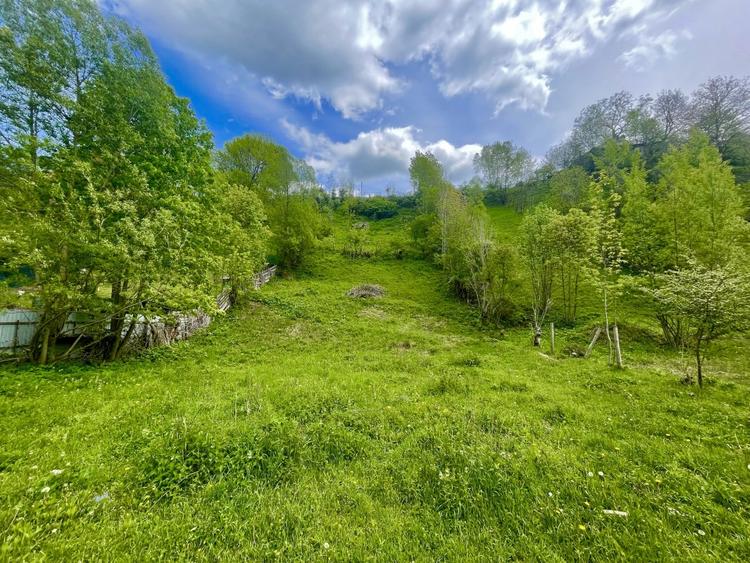 Teren intravilan Traisteni 839 mp, toate avizele - 1