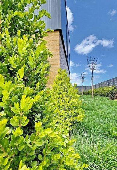 Casa Noua Ghimbav - 7