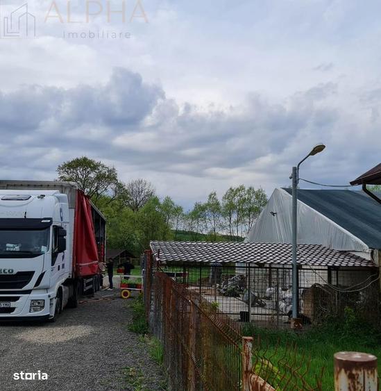 AFACERE LA CHEIE HALA PRODUCTIE + SERA PROFESIONALA - 7