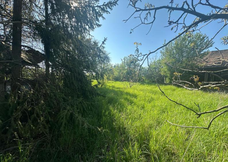 Casa Individuala Ozun Covasna teren 3200 mp - 15