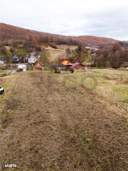RECO Teren in Zona Pestis, aproape de Alesd - 2