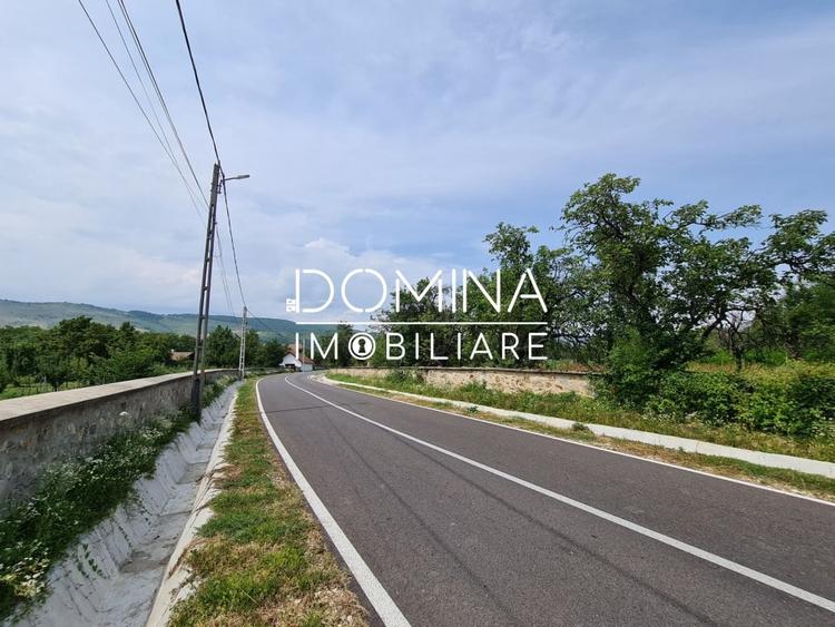 Teren Construcții intravilan de 178599 mp, în Runcu