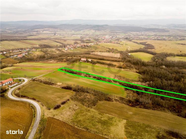 RECO Teren intravilan in Ceica Bihor - 3