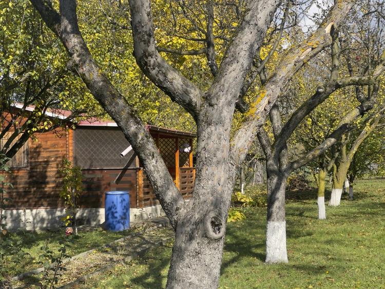 Casute Breaza, teren 1140 mp - 3