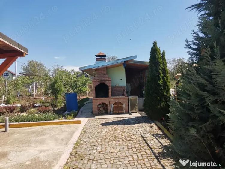 Teren de vanzare cu bucatarie si magazii 1128mp - 5