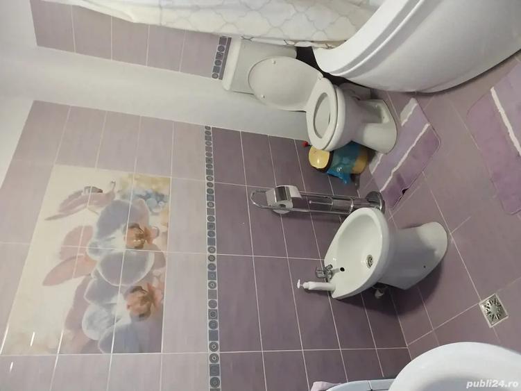 vand casa la curte - 14