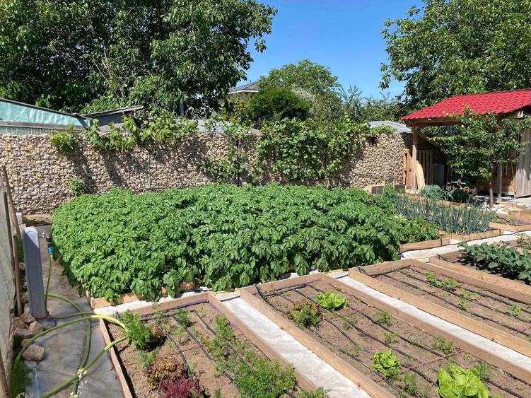 Casa noua aproape de lac, la Moara Vlasiei - 7