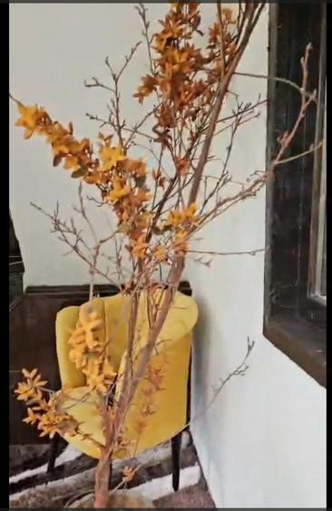 Casa mobilata ?i utilata, cu teren 1.200 mp, fotovoltaice Huawei ?i livada Capu Piscului, Arge? - 7