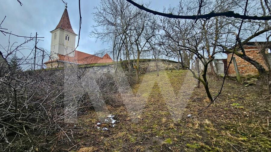 Tradiție și potențial: casă cu șură, utilități complete, Turnu Roșu - 10