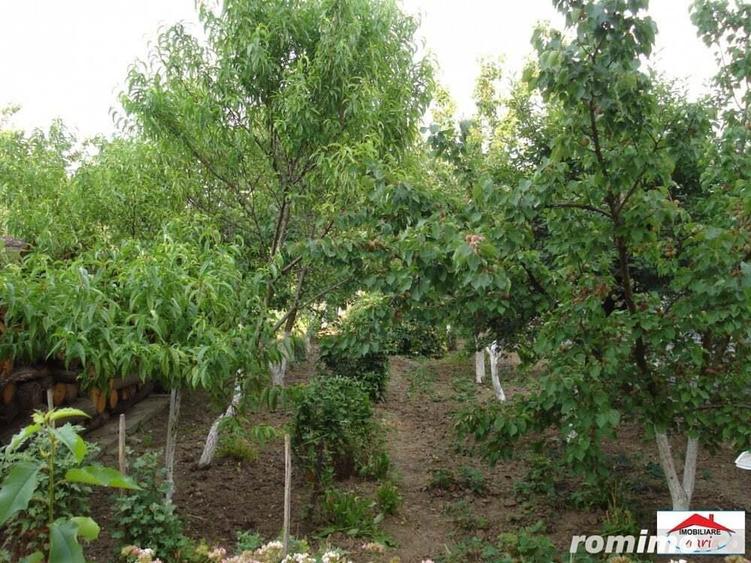 Casa si teren in Lazuri ( ID 21626) - 6